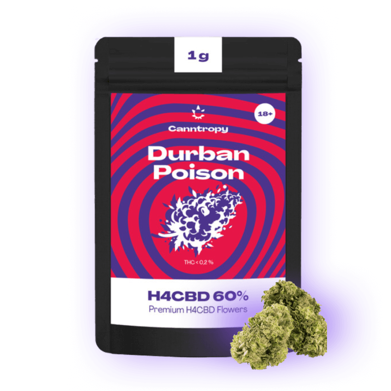 h4cbd durban poison blüte Canntropy