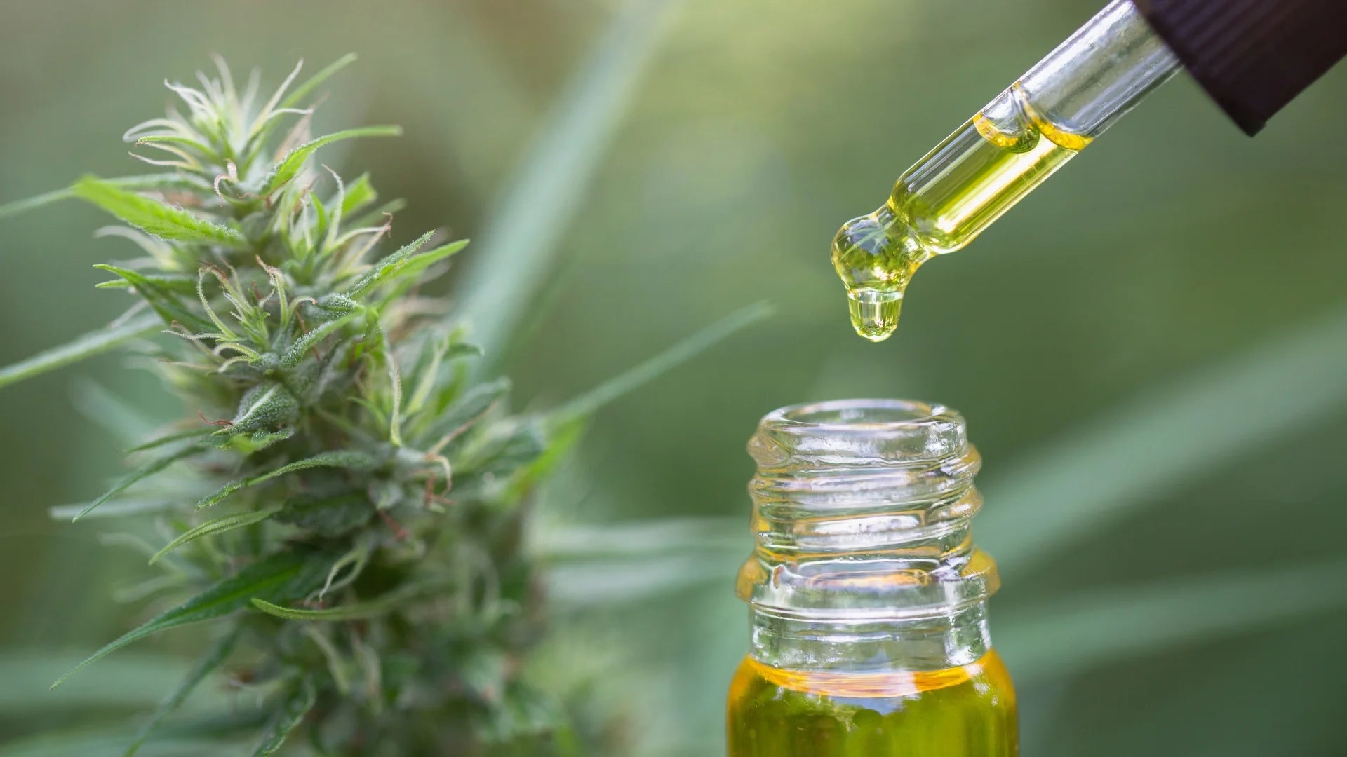 HHC Liquid für Vapes zum Nachfüllen