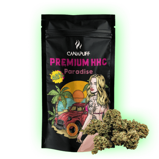 paradise hhc premium blüeten canapuff