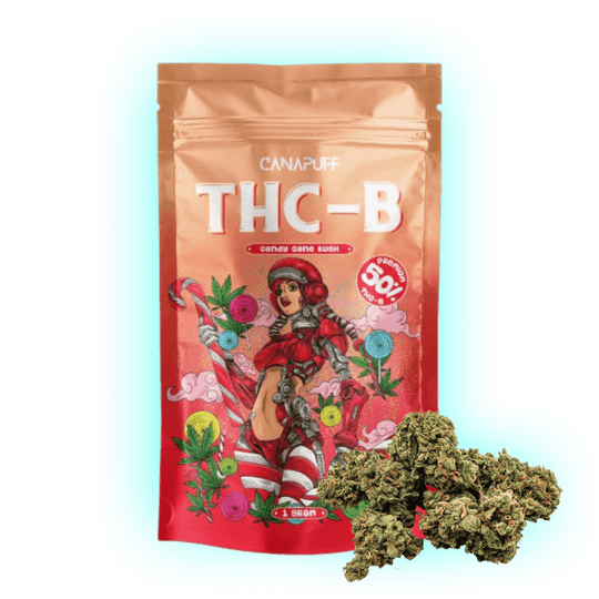 Candy Cane Kush Cannabis Blüte