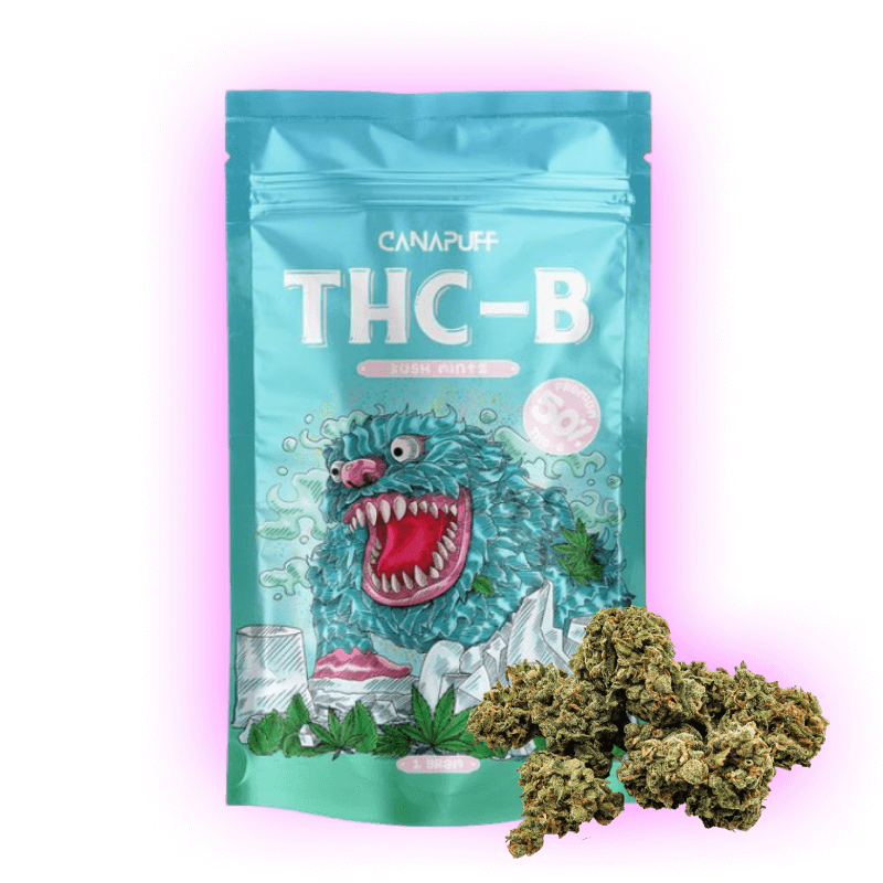 Blüten Kush Mintz THC-B Blüte