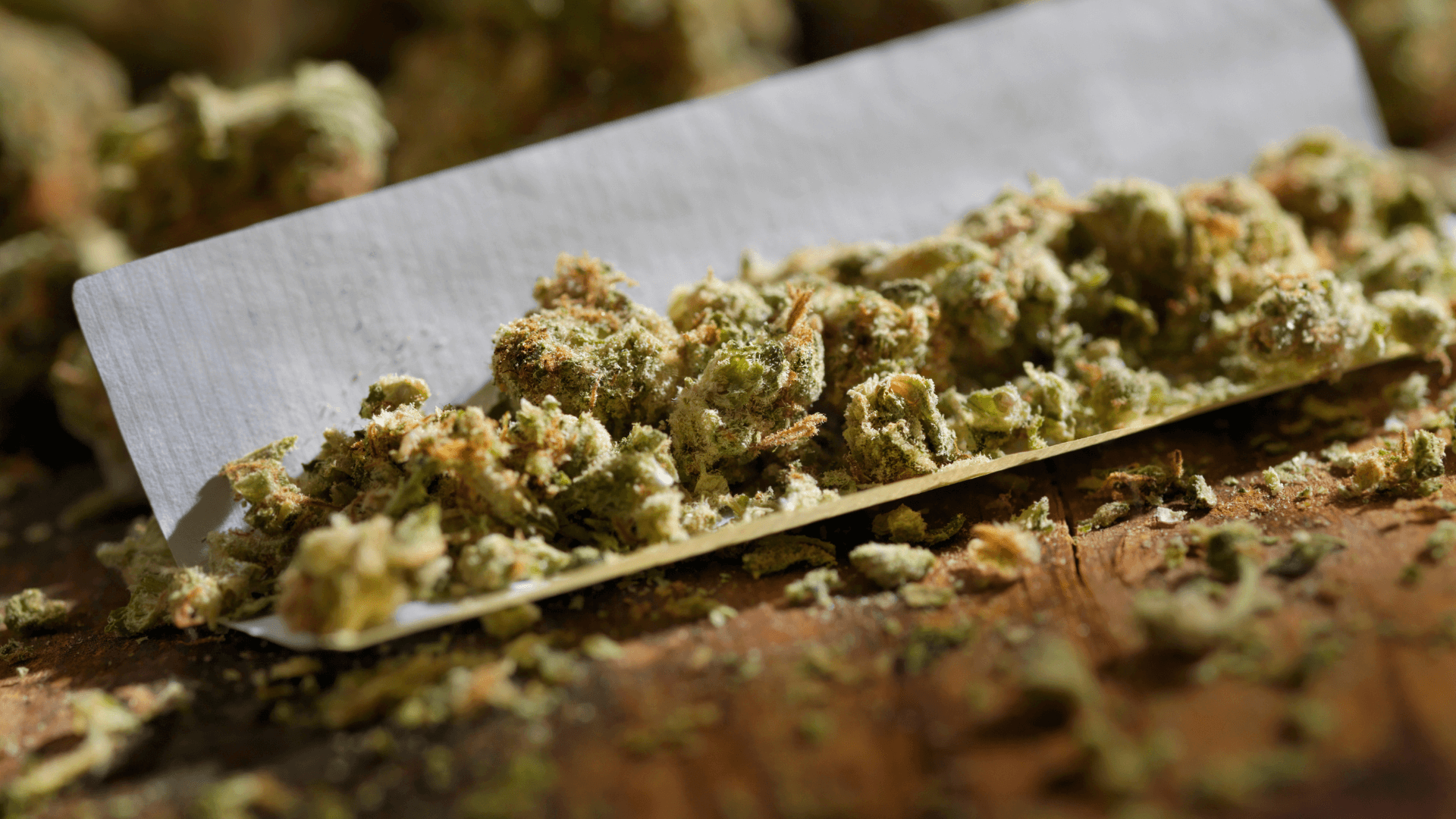 Premium Cannabinoid THC-PO
