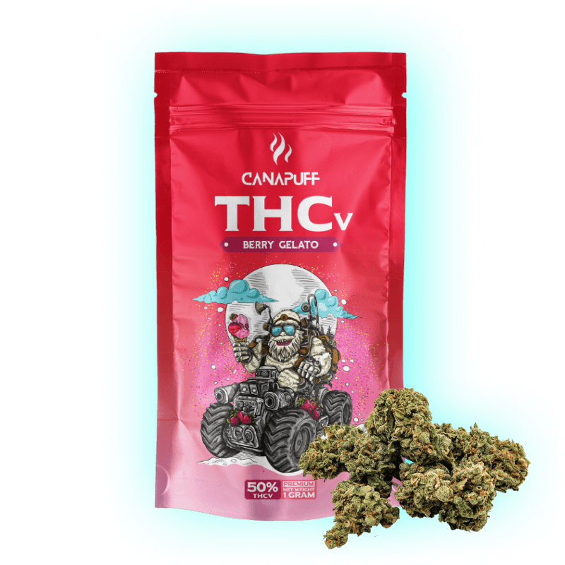 THCv THCp Berry Gelato Blüten Buds