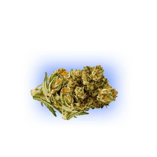 CBD Blüte Pineapple Express THC Low