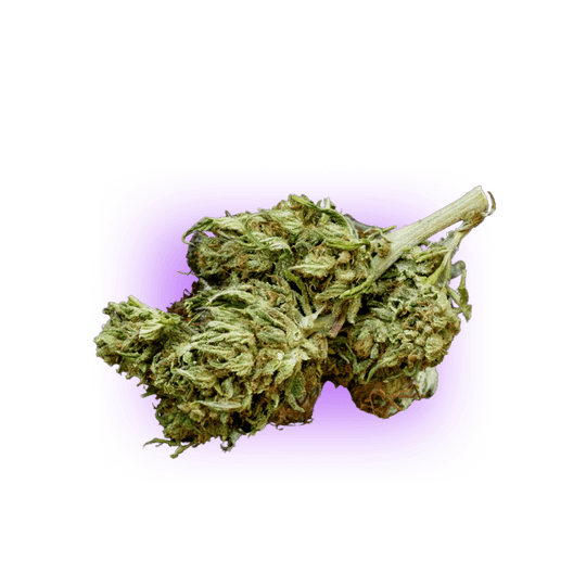 CBD Blüte Super Lemon Haze THC LOW