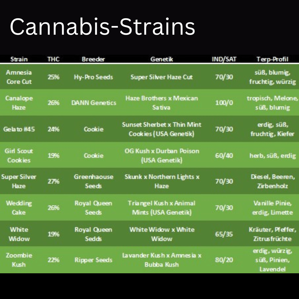 Premium Cannabis Stecklinge Gelato #45