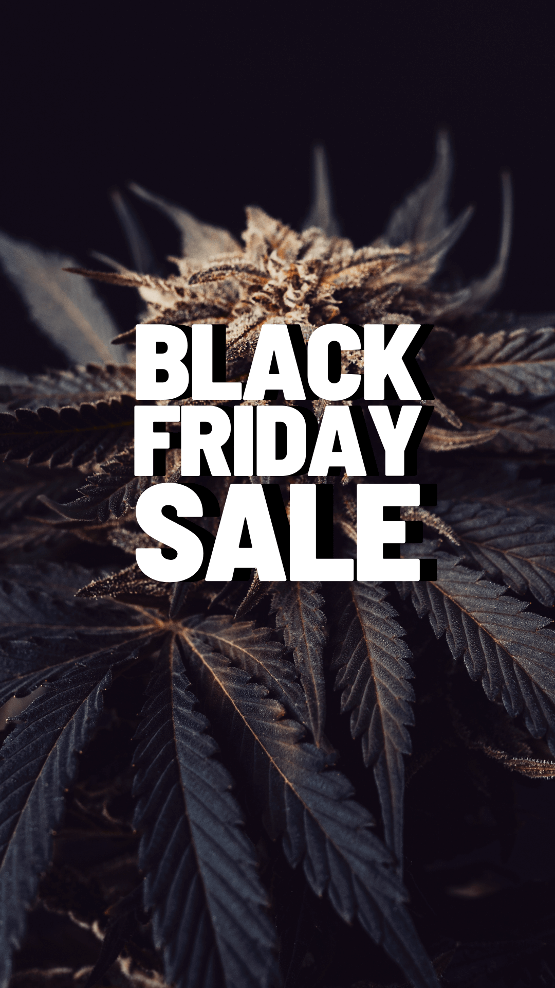 Black Friday Sale Angebote HHC Produkte  Cannabis