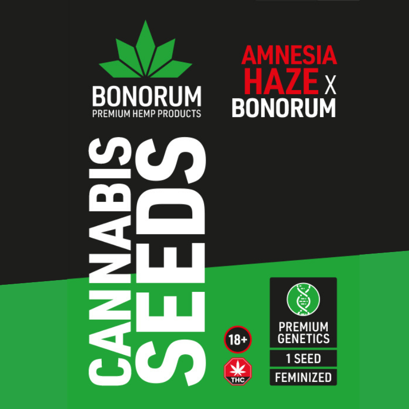 Amnesia Haze Bonorum Original Samen